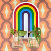 Rainbow Double Propagator