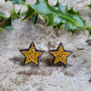 Zero Waste Star Earrings