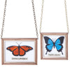 Sugar & Vice Mounted Butterfly Necklace